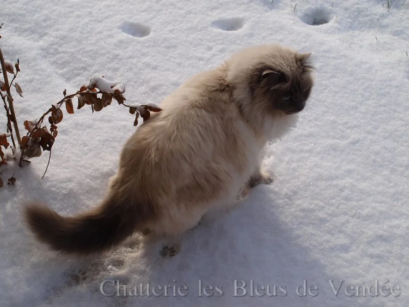 Barbotine à 4 ans
